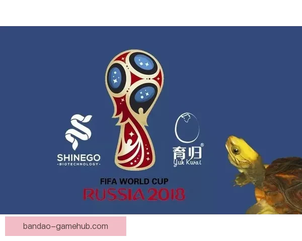 世界杯竞猜赔率查询全面平台实时数据分析与最新赛程结果参考指南