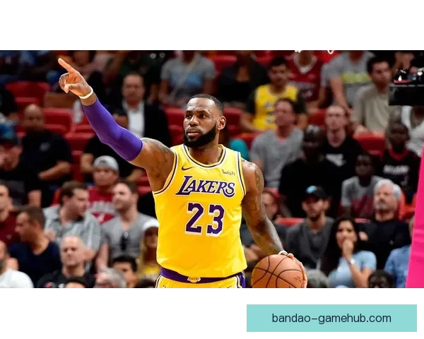 詹姆斯赞布朗尼具备NBA实力 强调家族做事从不敷衍